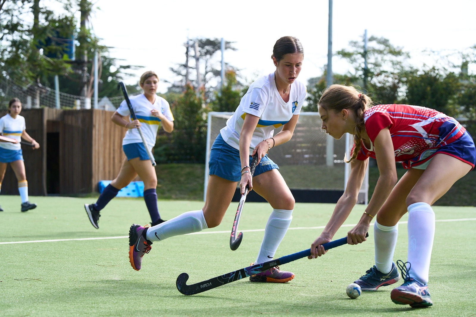 Talleres deportes y oportunidades